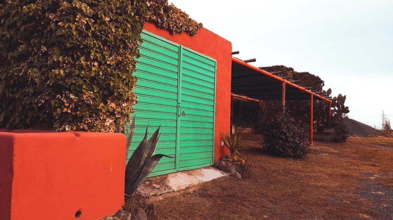 Tenuta Di Pontesodo Montalto di Castro Ngoại thất bức ảnh
