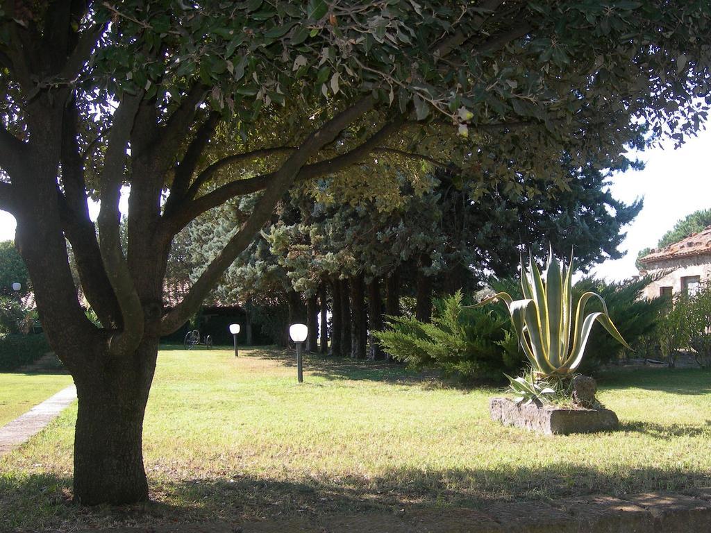 Tenuta Di Pontesodo Montalto di Castro Ngoại thất bức ảnh