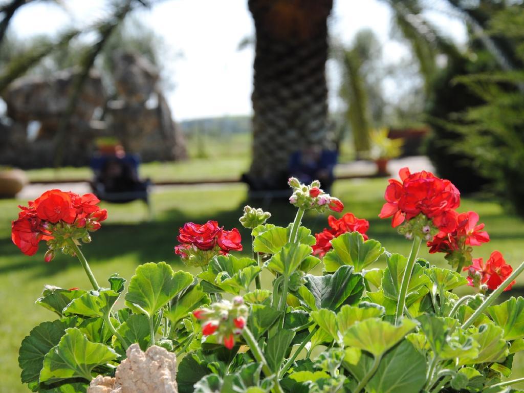 Tenuta Di Pontesodo Montalto di Castro Ngoại thất bức ảnh