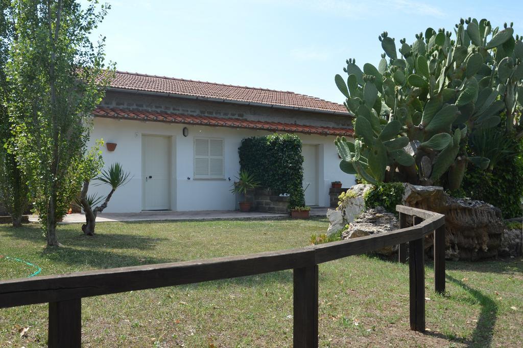 Tenuta Di Pontesodo Montalto di Castro Ngoại thất bức ảnh