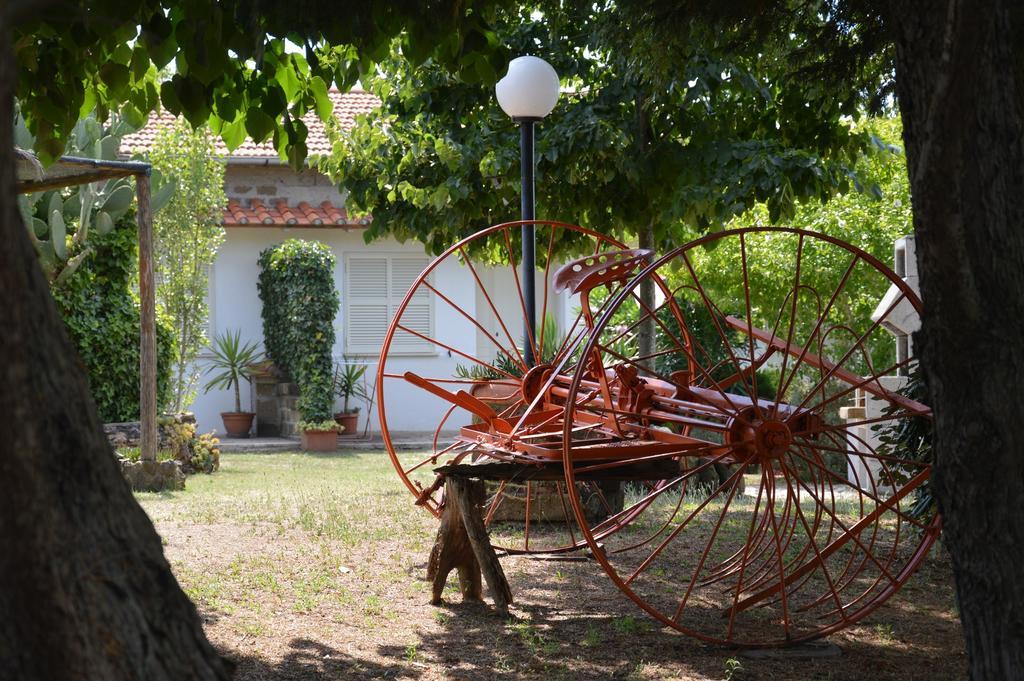 Tenuta Di Pontesodo Montalto di Castro Ngoại thất bức ảnh