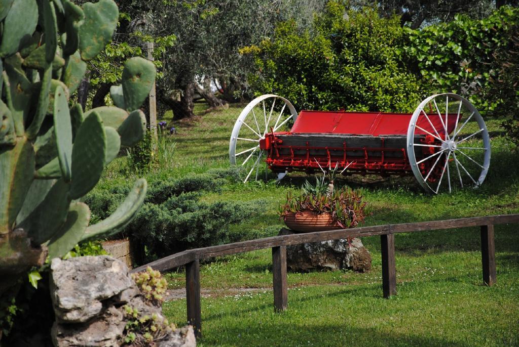 Tenuta Di Pontesodo Montalto di Castro Ngoại thất bức ảnh