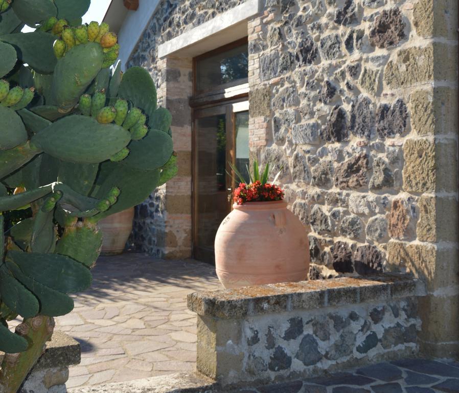 Tenuta Di Pontesodo Montalto di Castro Ngoại thất bức ảnh